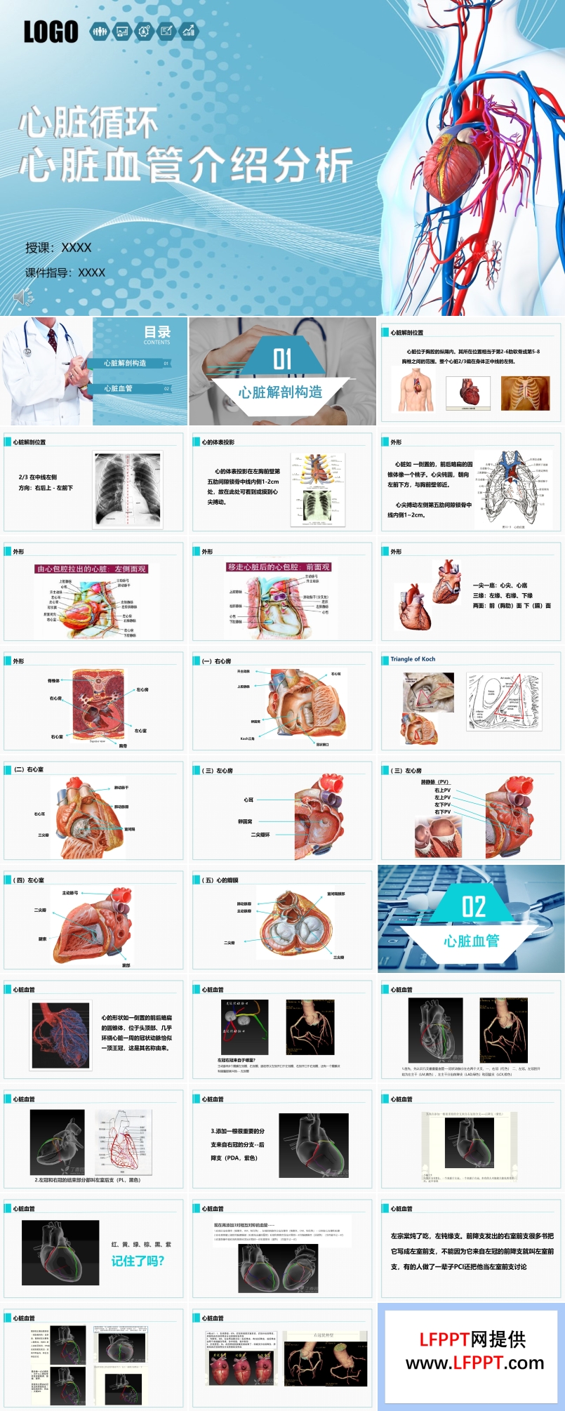 心臟血管介紹分析PPT課件